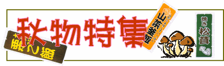 �H�����W�o�i�[